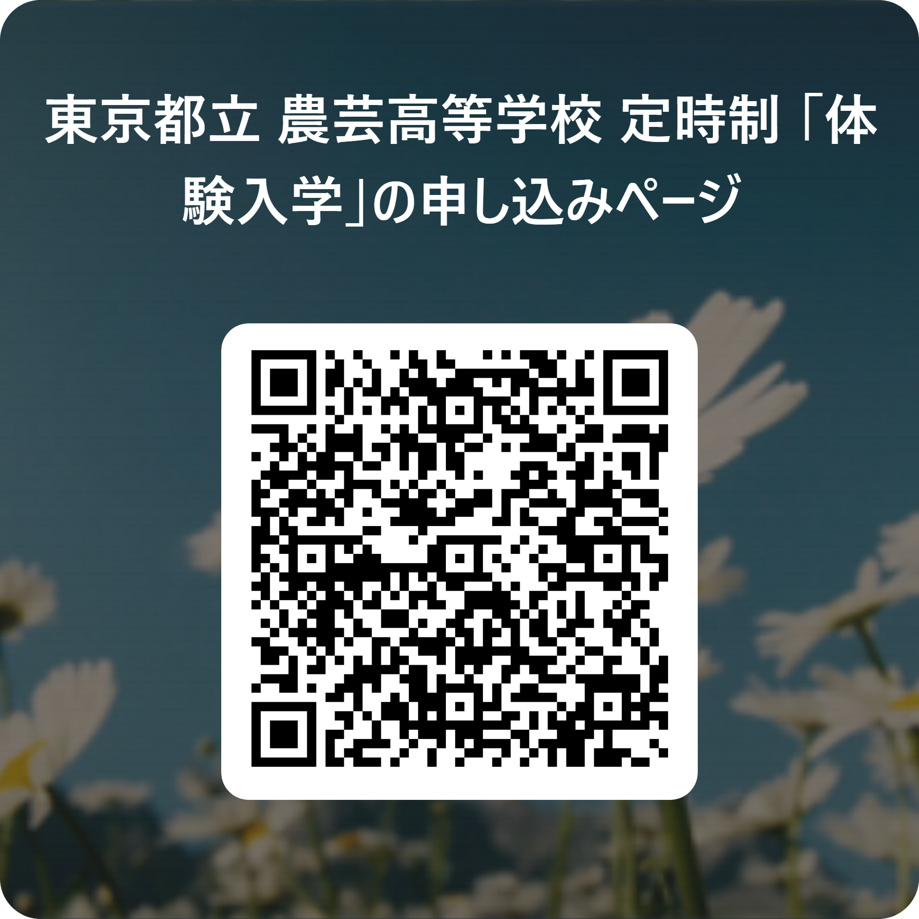 東京都立 農芸高等学校 定時制_     「体験入学」の申し込みページ  用 QR コード